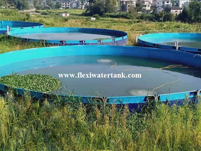 40000 Liter Recirculating Aquaculture System Fish Farming Tank for