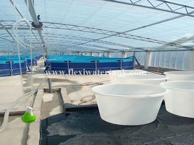 40000 Liter Recirculating Aquaculture System Fish Farming Tank for Indoor and Outdoor Fish Farm