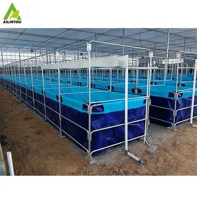 Collapsible Shrimp Tank for Indoor Shrimp Farm Biofloc Automatic Hydroponics System Tanks