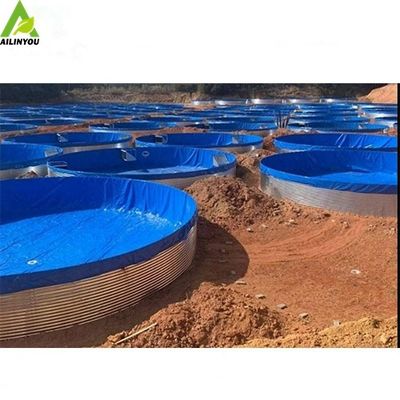 RAS Indoor Fish Shrimp Farming Equipment Recirculating Aquaculture System Indoor Fish Farm for High Density