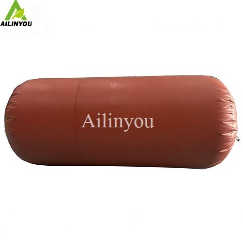 Ailinyou  Professional Factory Sales PVC  Biogas storage balloon Portable  5m3 10m3  Biogas Storage Bag