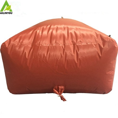 Hot Sale  Chinese Biogas Plant Biogas Sewage Treatment Plant Biogas Plant for Electricity