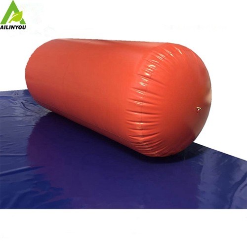 Hot Sale Ailinyou Portable Small Biogas Digester 3m3 ~200m3 Harge Digester Biogas