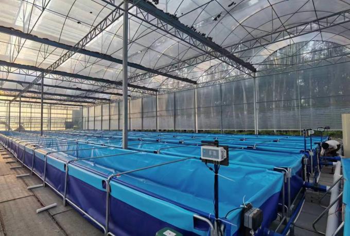 Indoor RAS system with Fish Pond Integration Recirculating Aquaculture ...