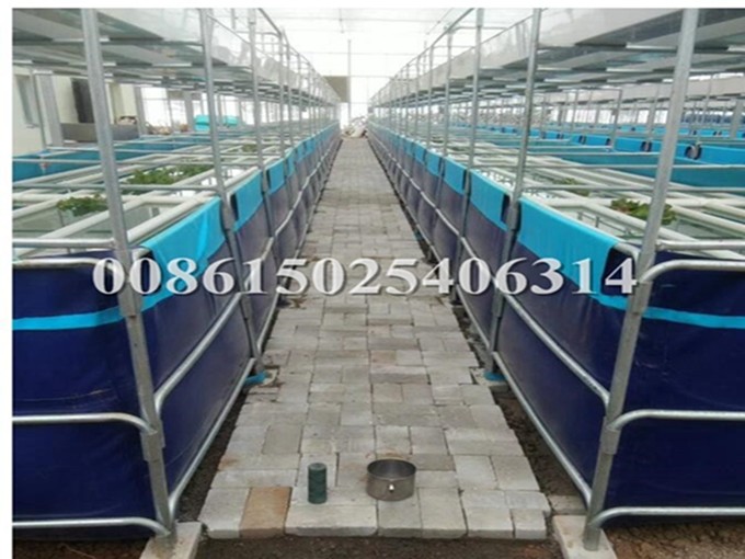 RAS Fish Aquaculture Farming Equipment 20 Ton Prawn Farming Fishery