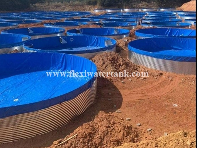 40000 Liter Recirculating Aquaculture System Fish Farming Tank for