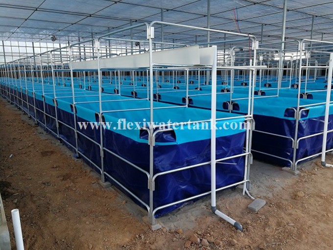 Hot Sale Pvc 500 50000l Plastic Large Commercial Fish Tanks